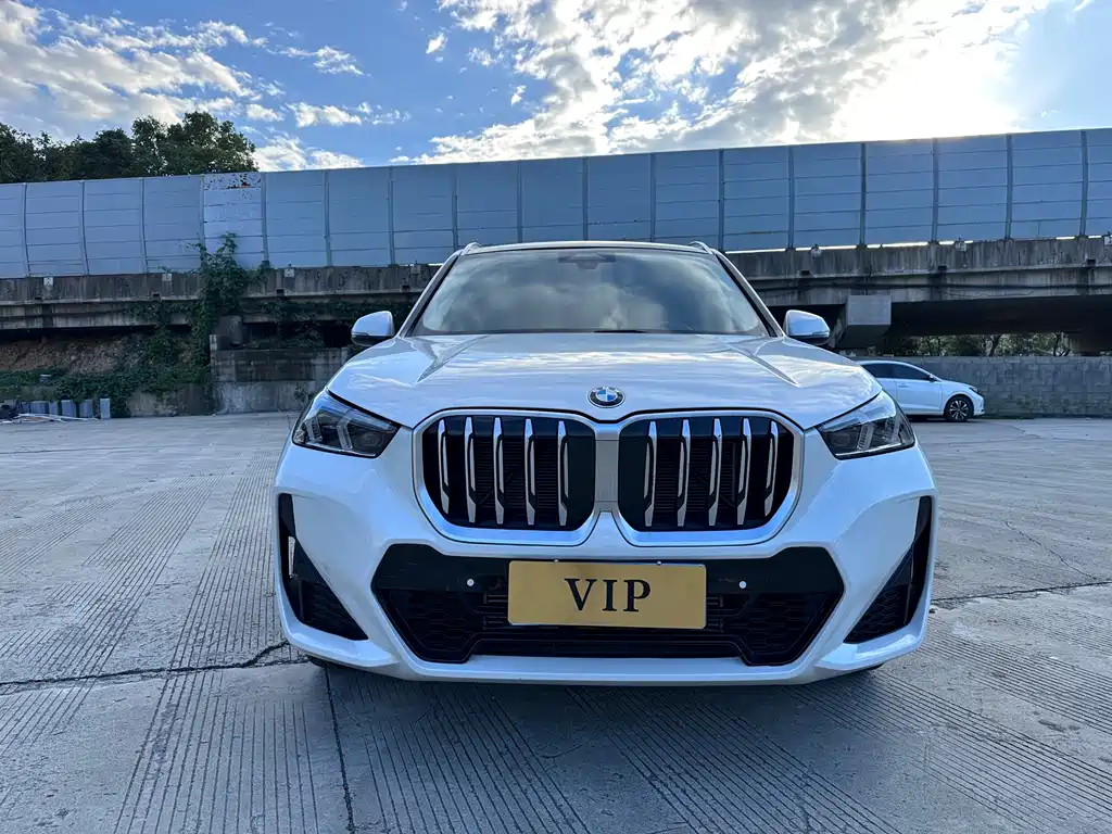 BMW X1 — миниатюра 2