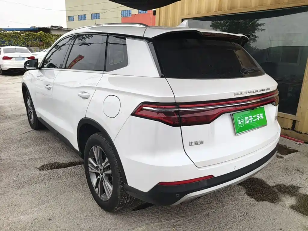 BYD Pro — миниатюра 5