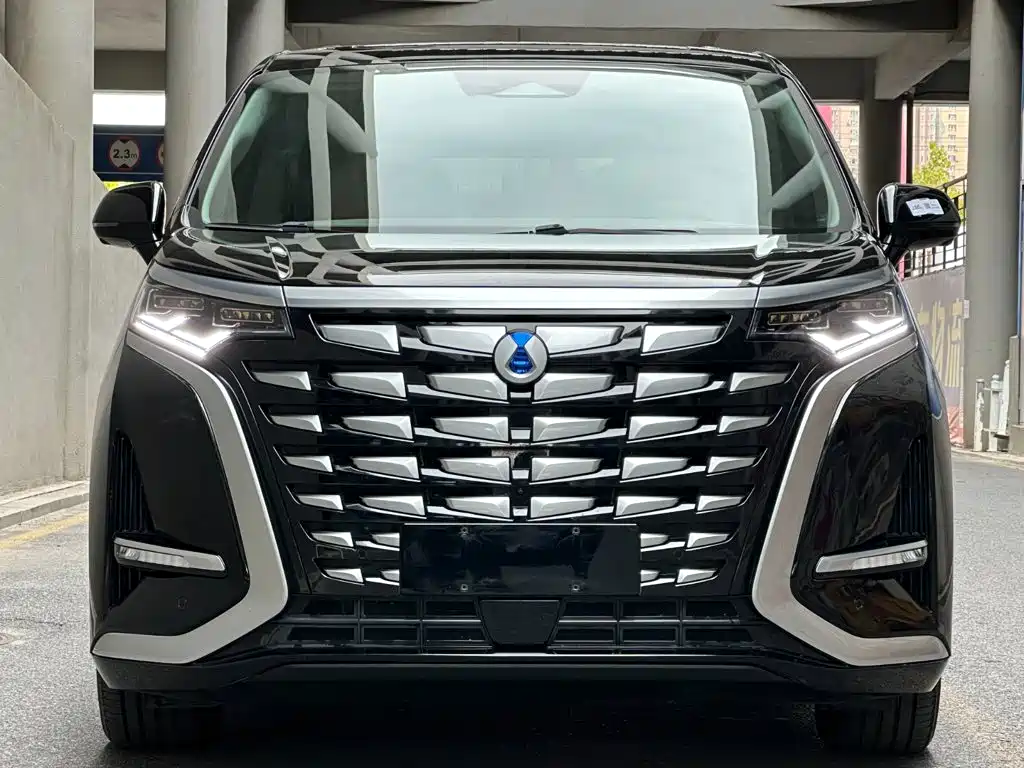 Denza Denza D9 — миниатюра 2