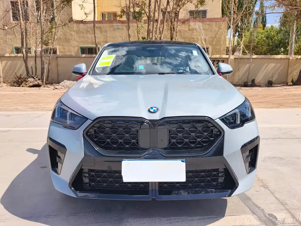 BMW X2 (Import) — миниатюра 2