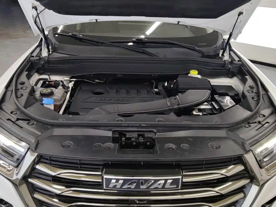 Haval H6 — миниатюра 10