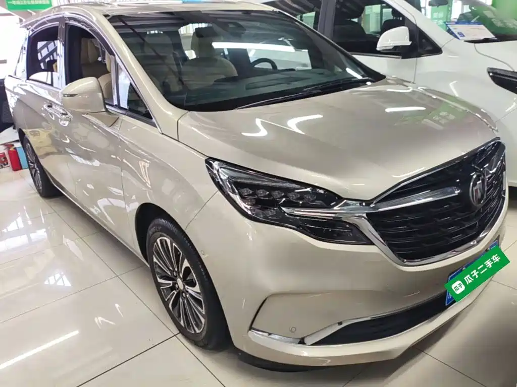 Buick GL8 — миниатюра 4