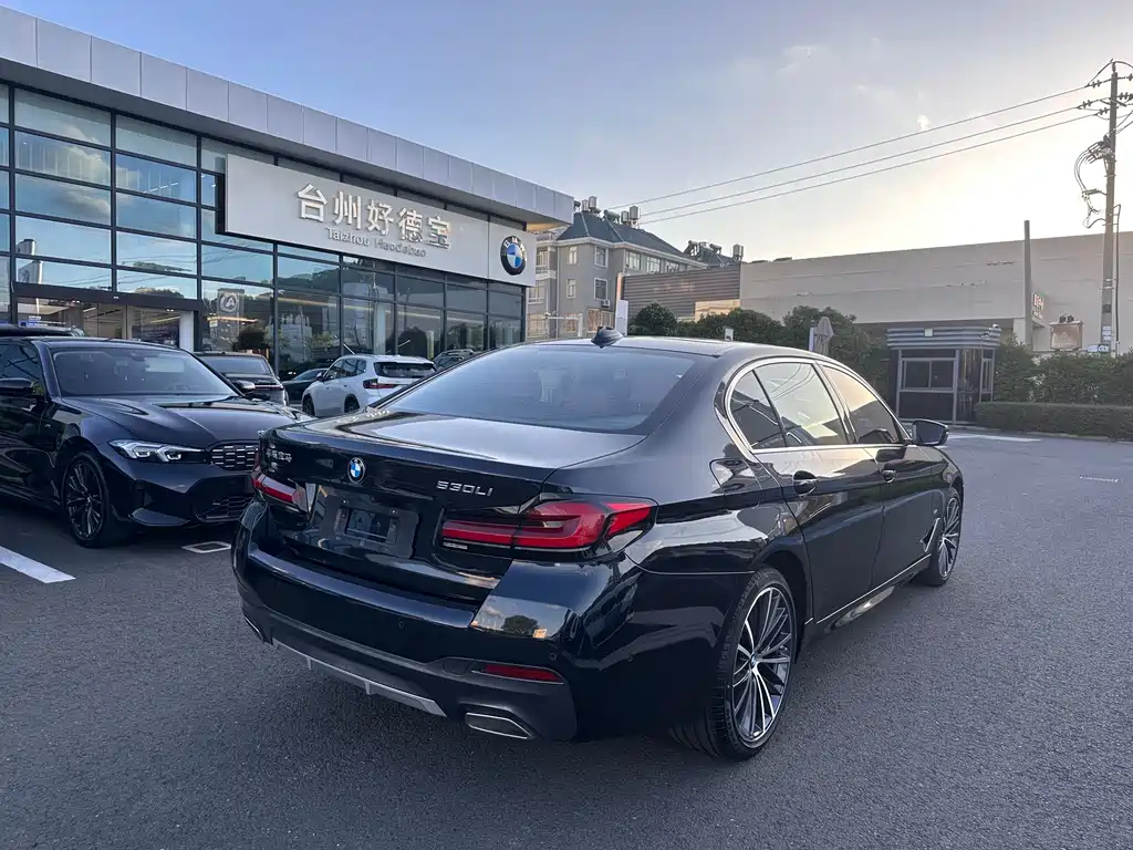 BMW 5 Series — миниатюра 12
