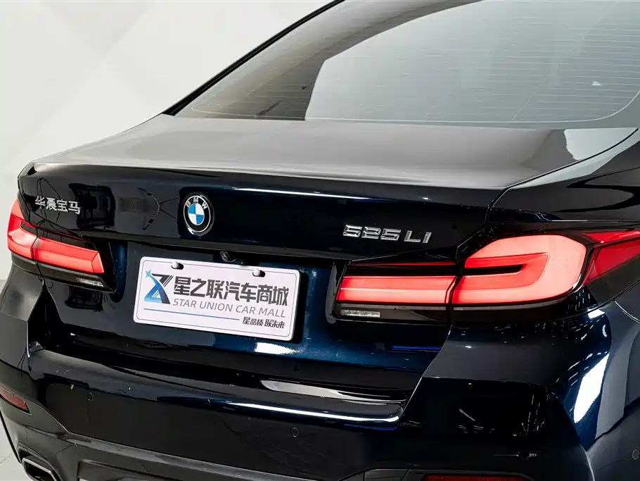 BMW 5 Series — миниатюра 8
