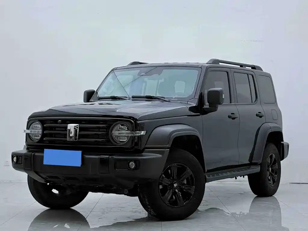 2024 TANK 300 - zdjęcie 1 z 15