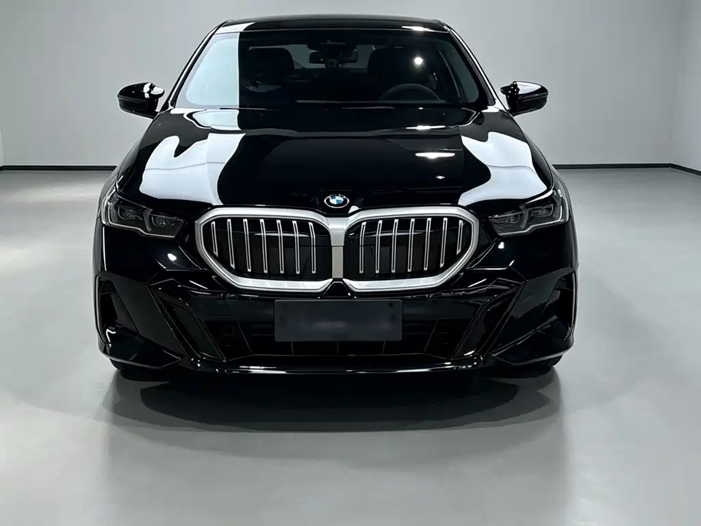 BMW 5 Series — миниатюра 2