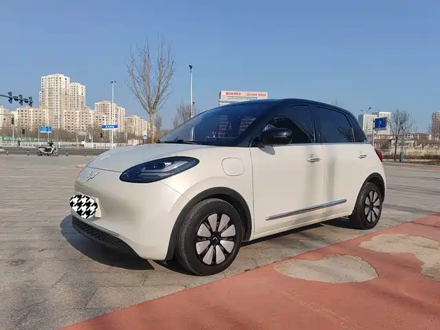 WULING WULING BINGGUO 2024