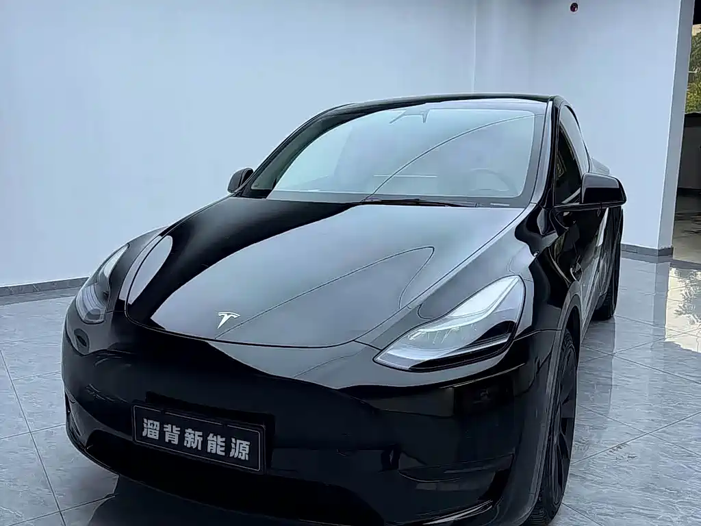 Tesla Model Y — миниатюра 2