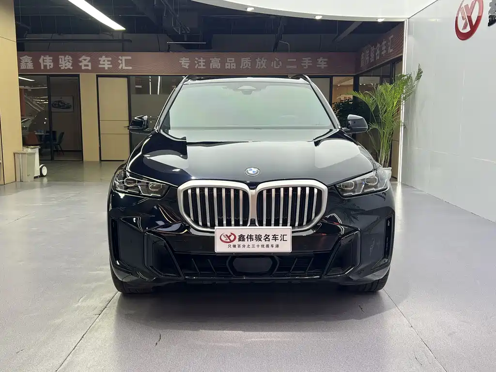 BMW X5 — миниатюра 3