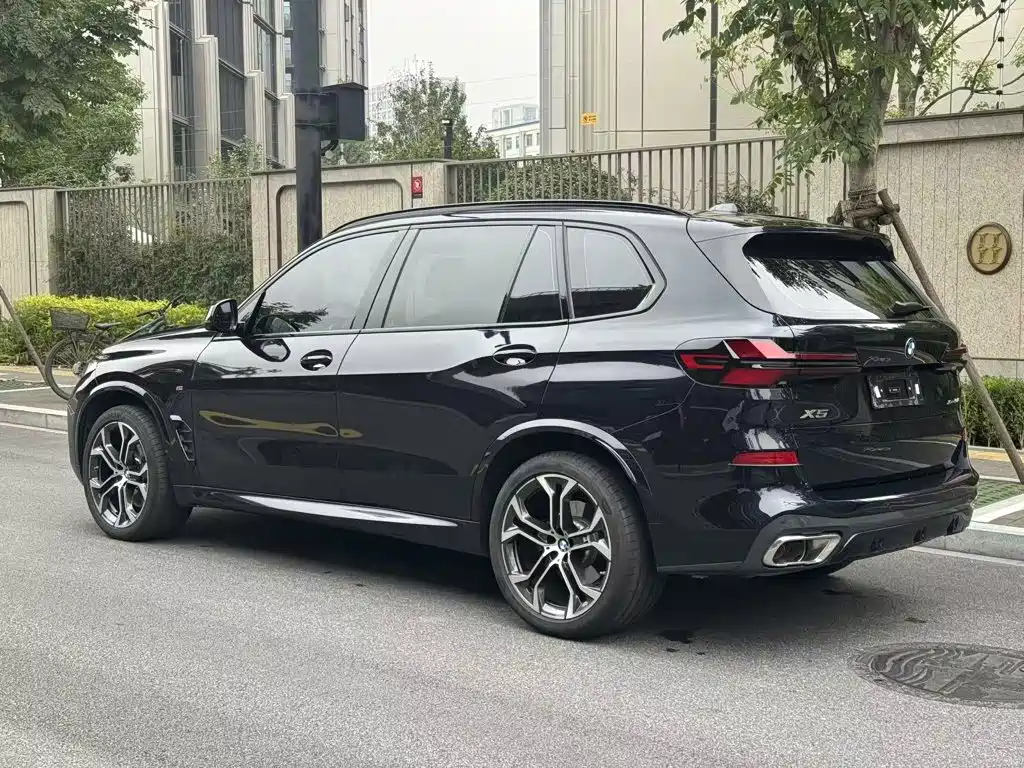 BMW X5 — миниатюра 8