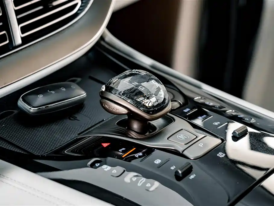 Denza Denza D9 — миниатюра 17