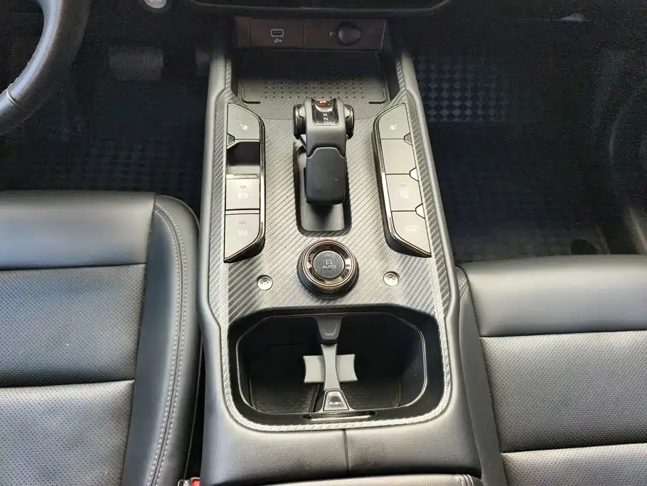 Haval Big Dog PLUS — миниатюра 16