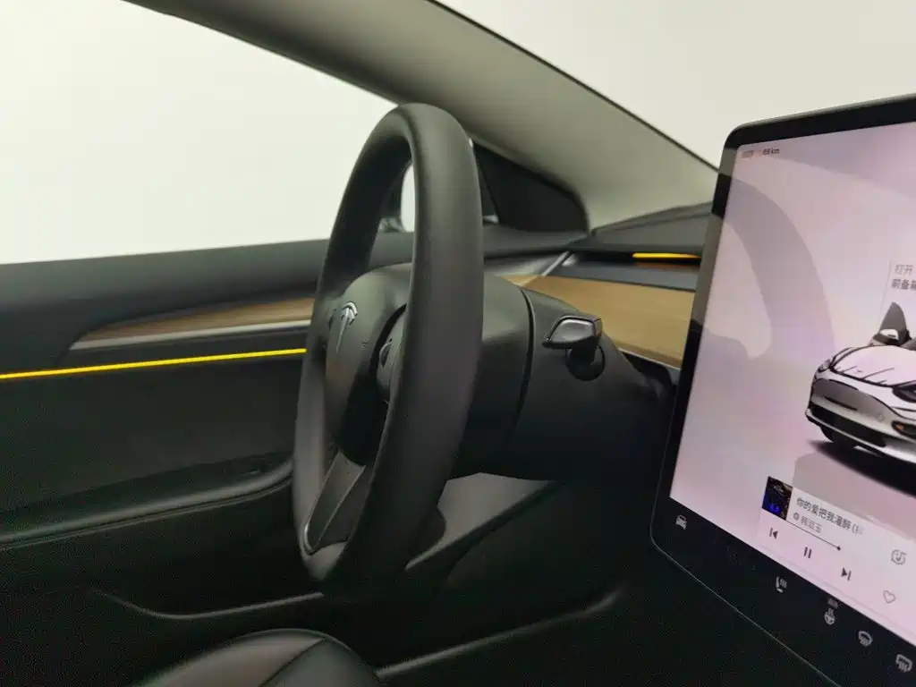 Tesla Model 3 — миниатюра 22