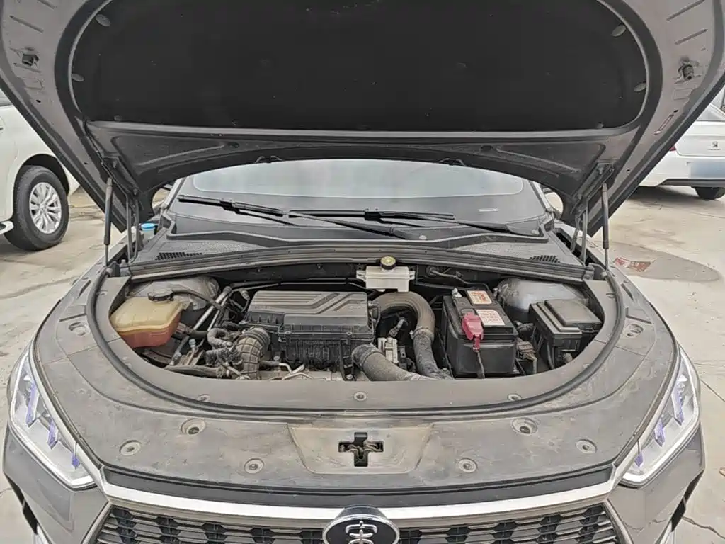 BYD PLUS — миниатюра 20