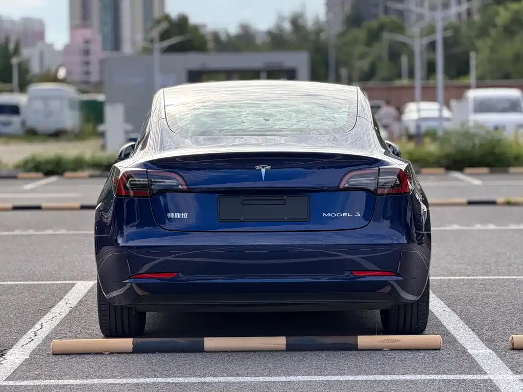 Tesla Model 3 — миниатюра 6