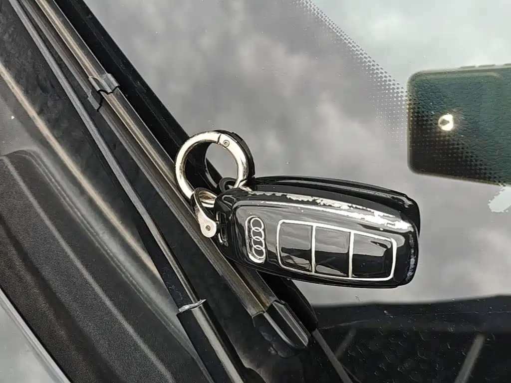 Audi A6L — миниатюра 13