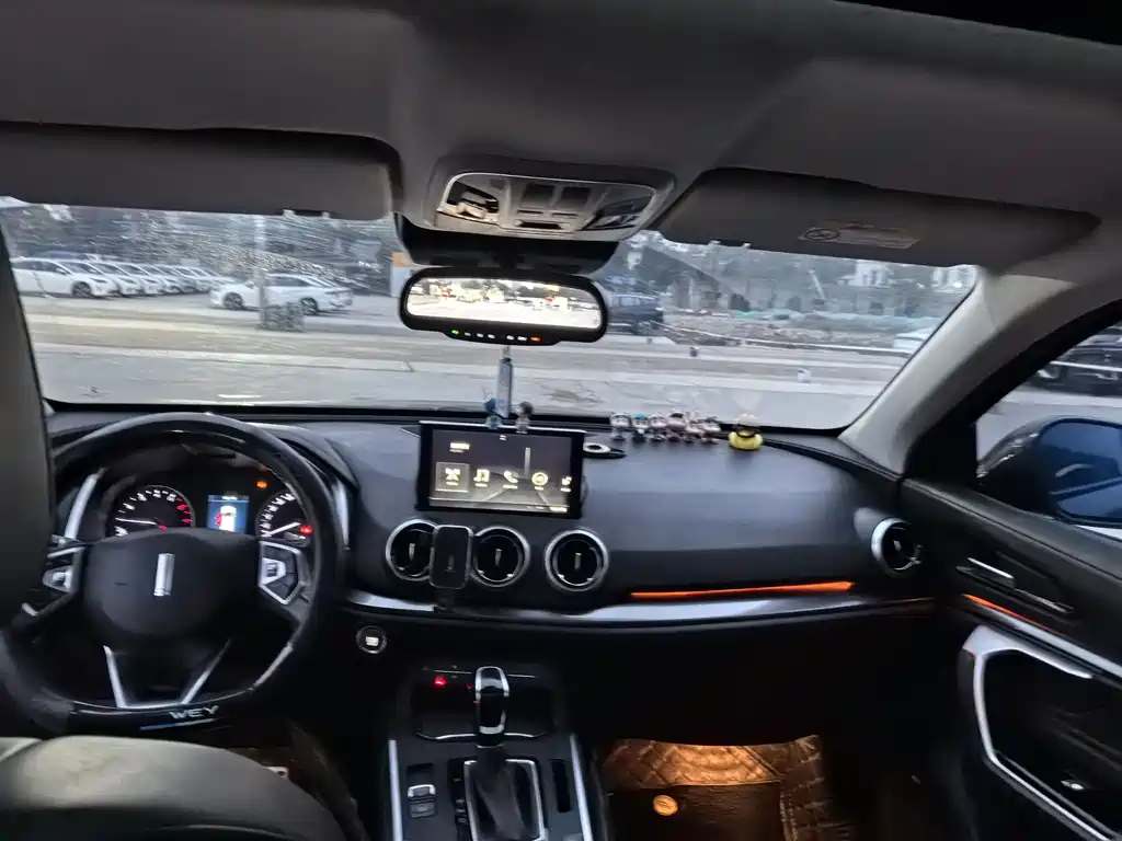 WEI PAI WEI BRAND VV5