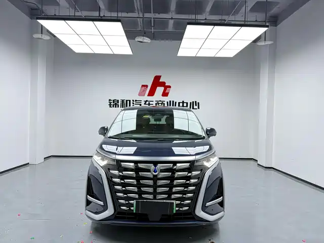 2024 Denza D9