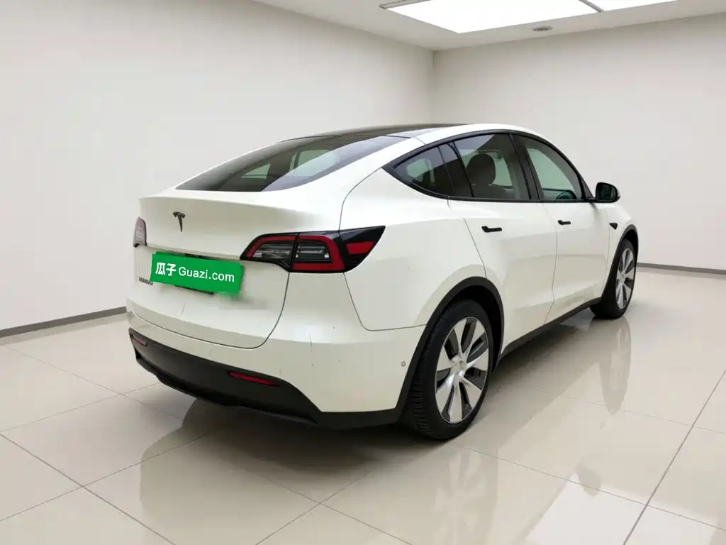 Tesla Model Y — миниатюра 4
