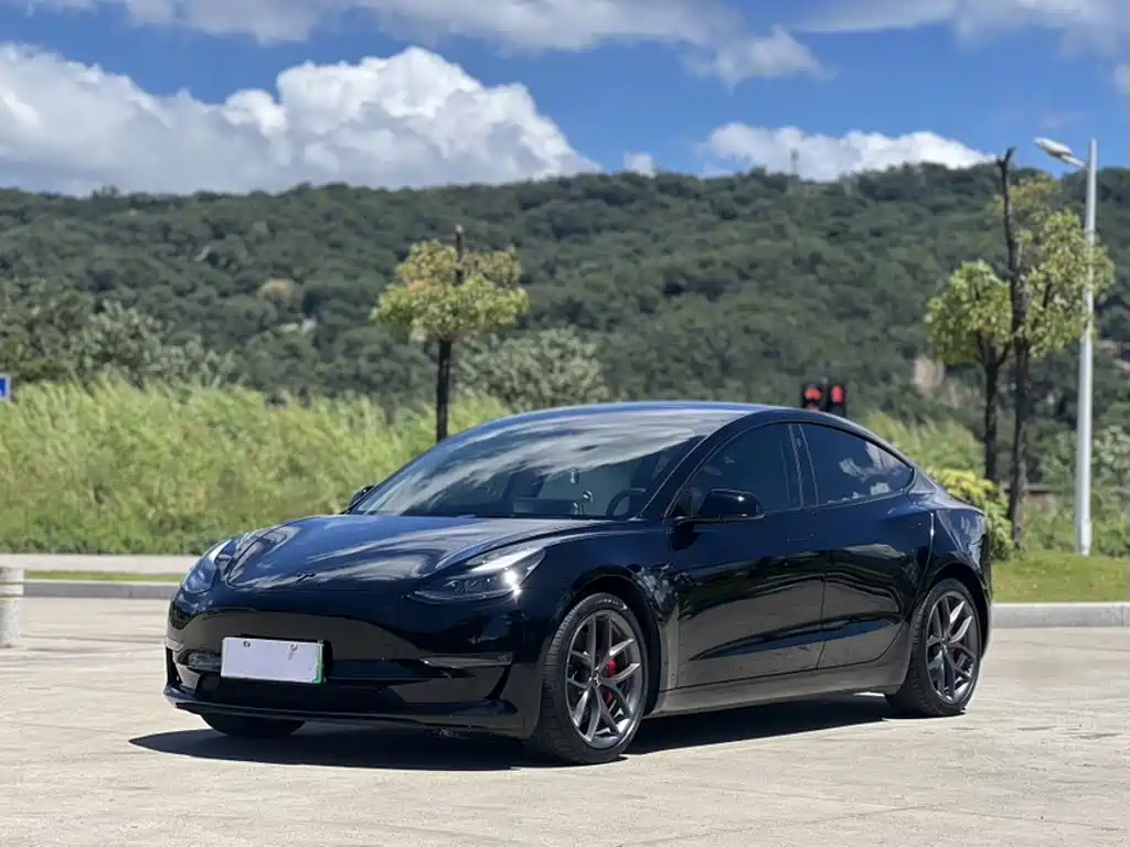 Tesla Model 3 — миниатюра 2
