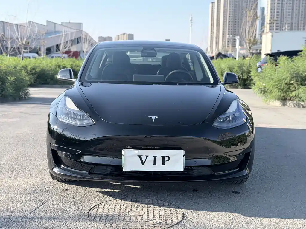 Tesla Model 3 — миниатюра 2