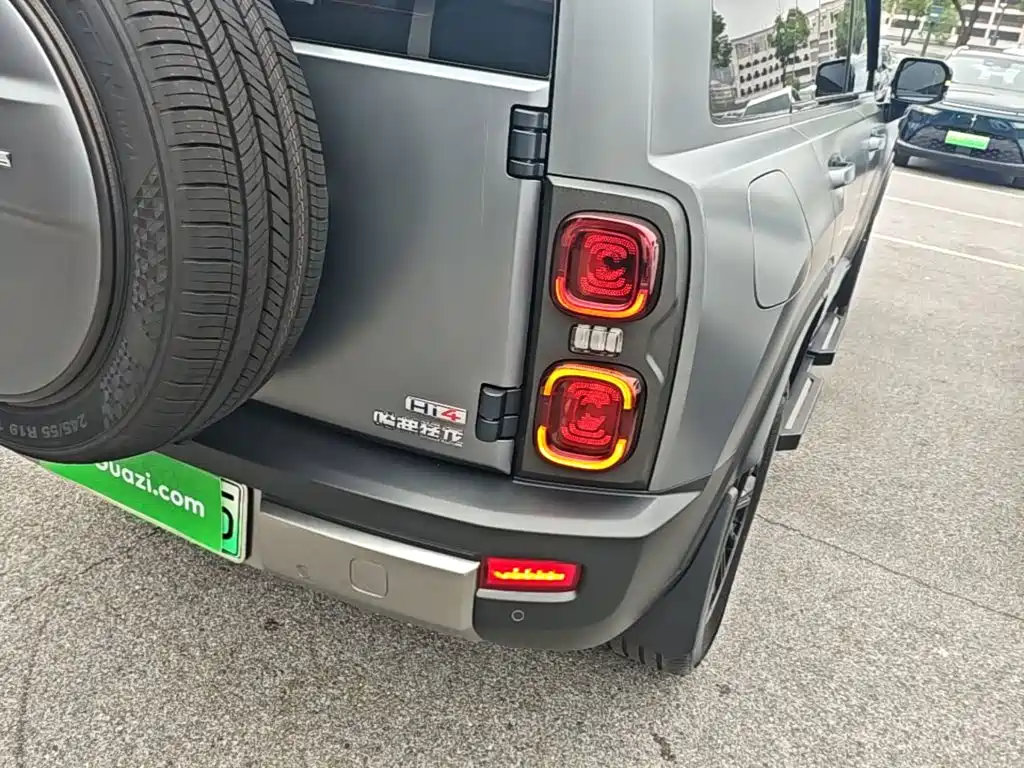 Haval Menglong New Energy — миниатюра 8