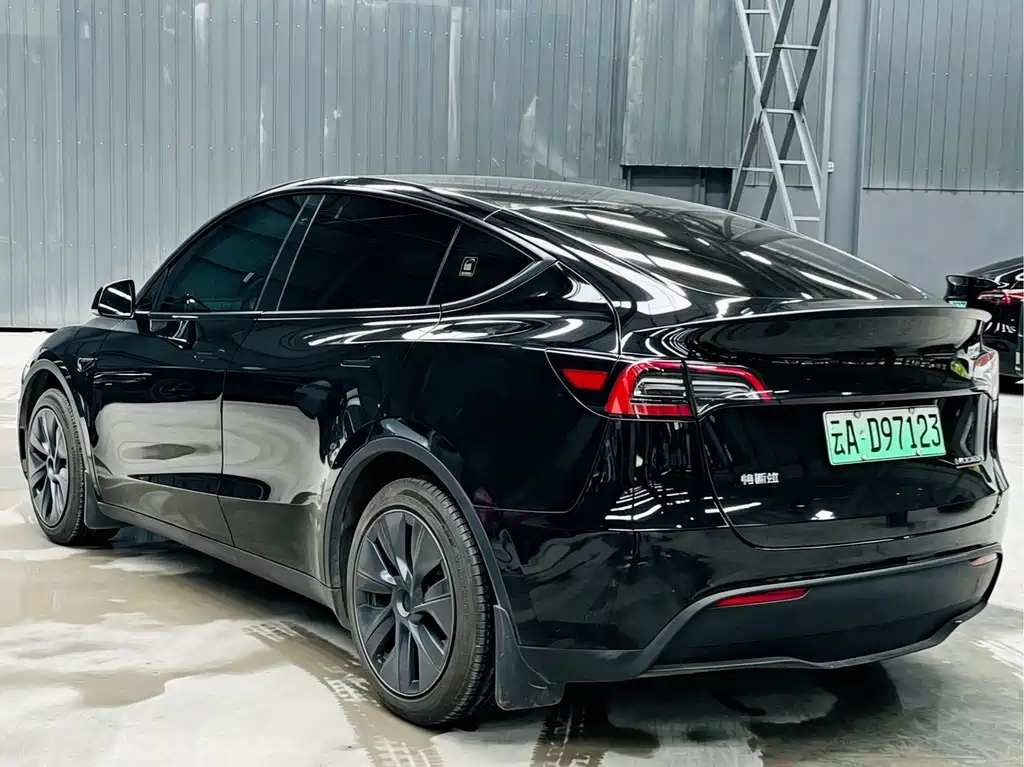 Tesla Model Y — миниатюра 6