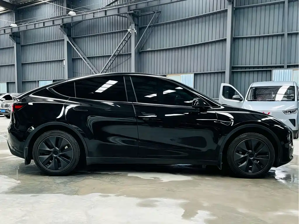 Tesla Model Y — миниатюра 7