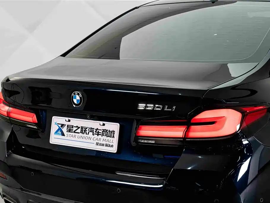 BMW 5 Series — миниатюра 8