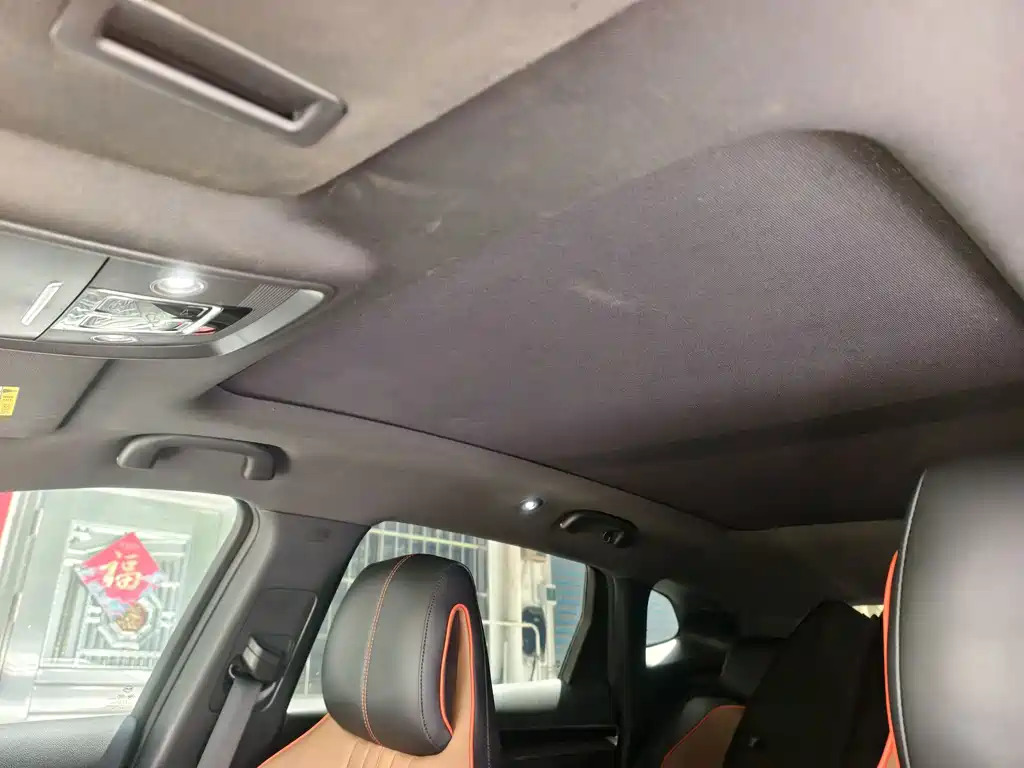 BYD PLUS — миниатюра 8