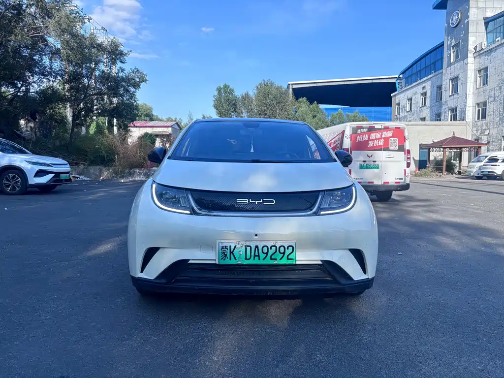 BYD Dolphin — миниатюра 2