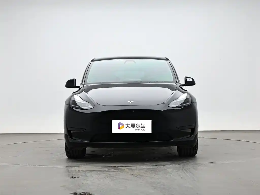 Tesla Model Y — миниатюра 2