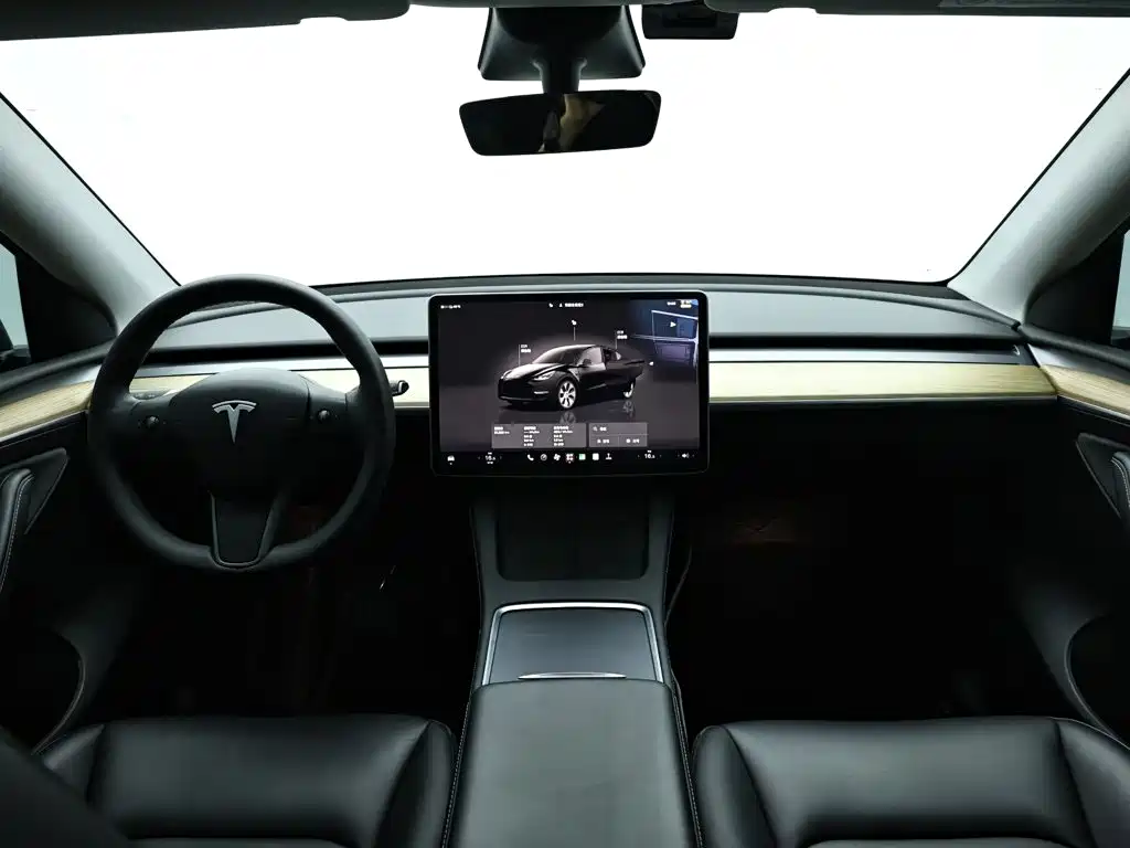Tesla Model Y — миниатюра 15