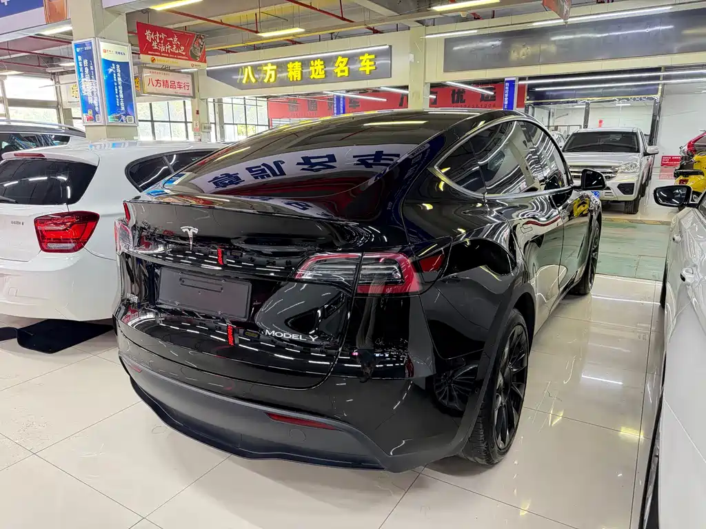 Tesla Model Y — миниатюра 4