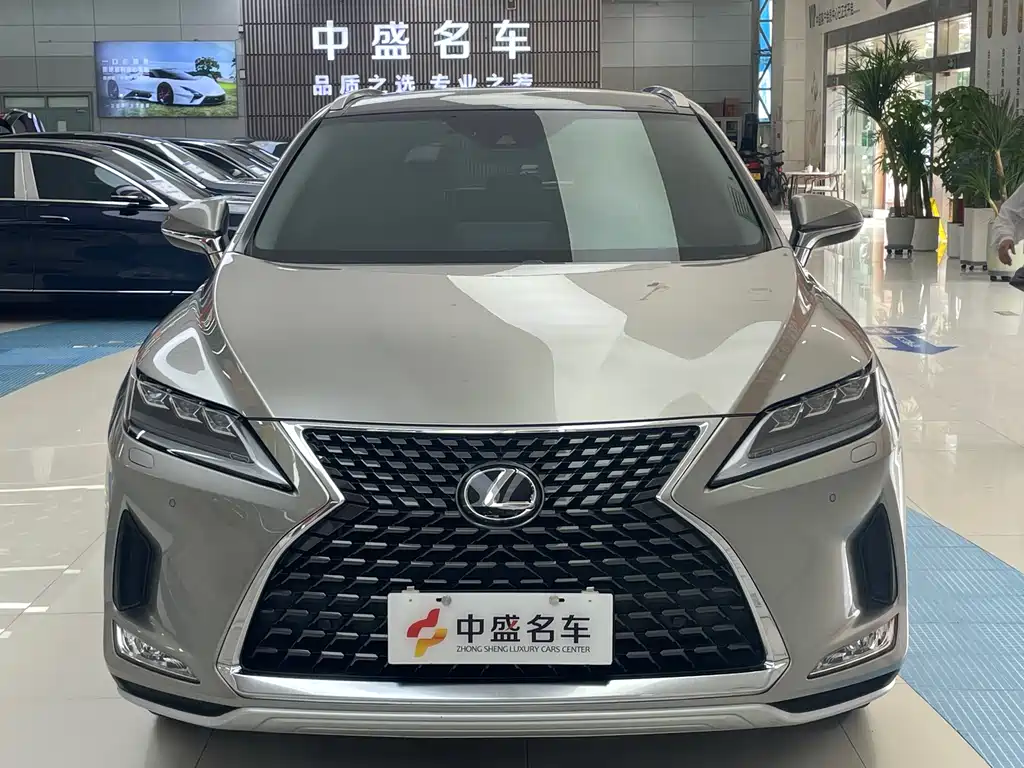 Lexus RX 2020 300 Elegant VI