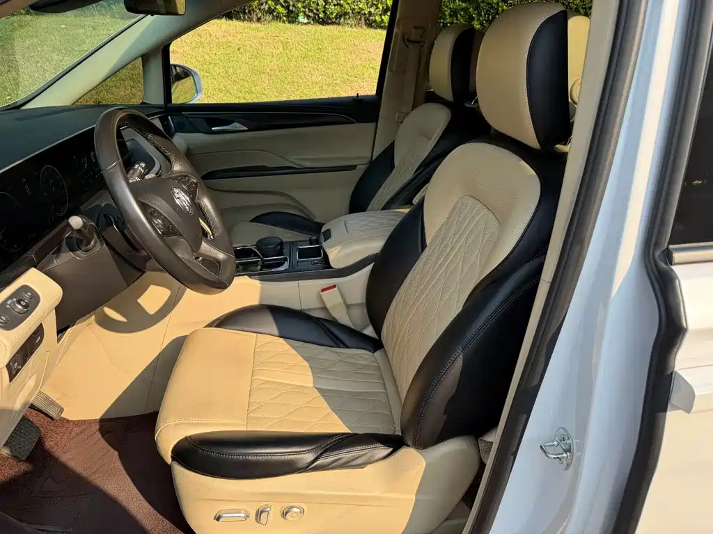 Buick GL8 — миниатюра 8