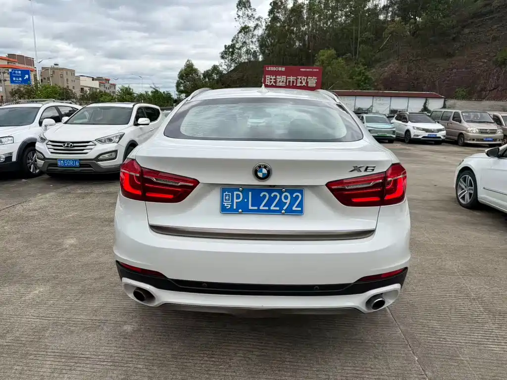 BMW X6 — миниатюра 7