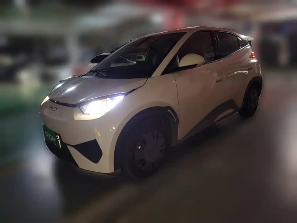 BYD Seagull