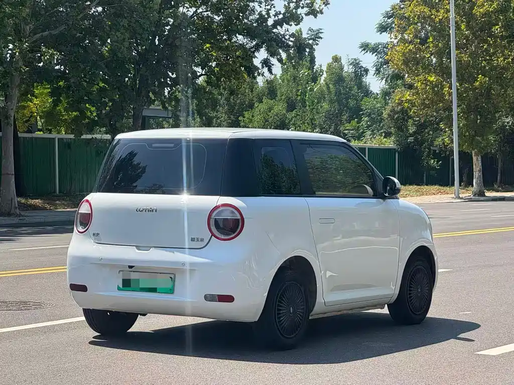 Qiyuan Lumin — миниатюра 6