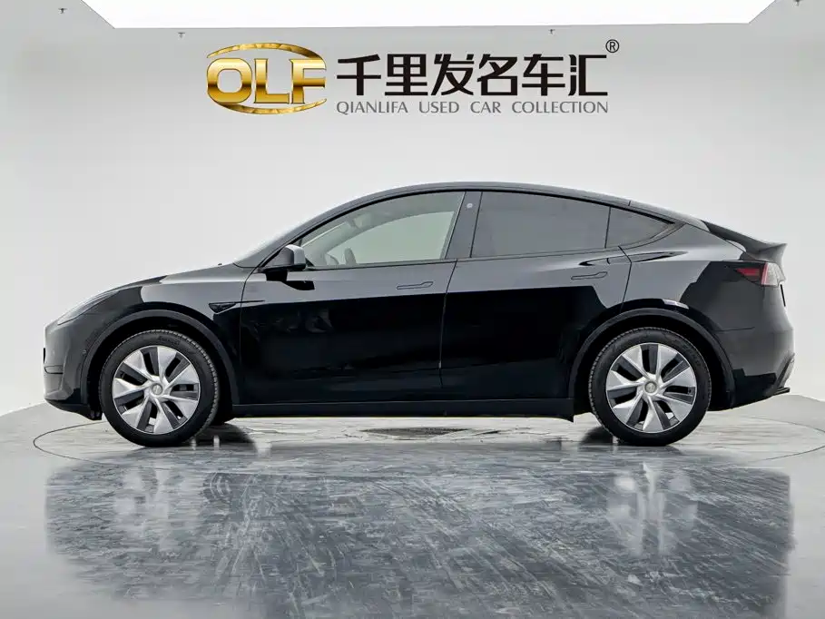 Tesla Model Y — миниатюра 7