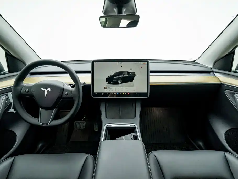 Tesla Model Y — миниатюра 20