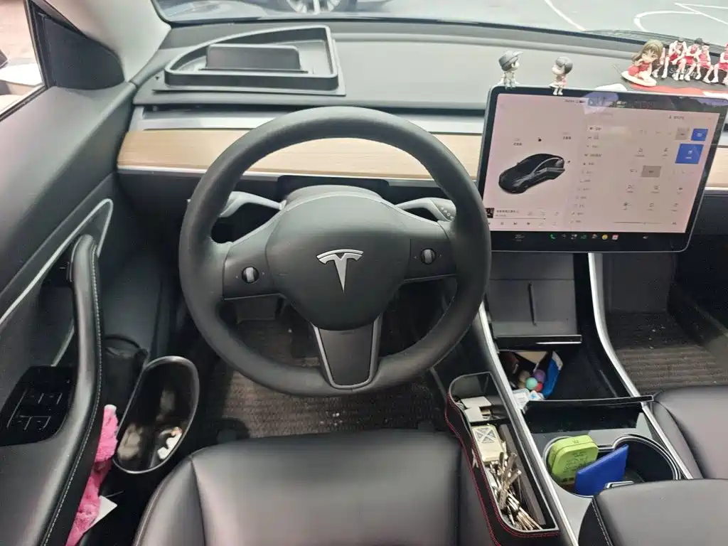 Tesla Model 3 — миниатюра 11