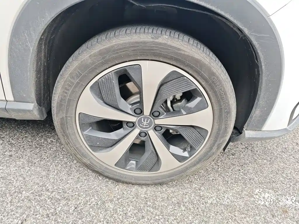 BYD PLUS New Energy — миниатюра 8