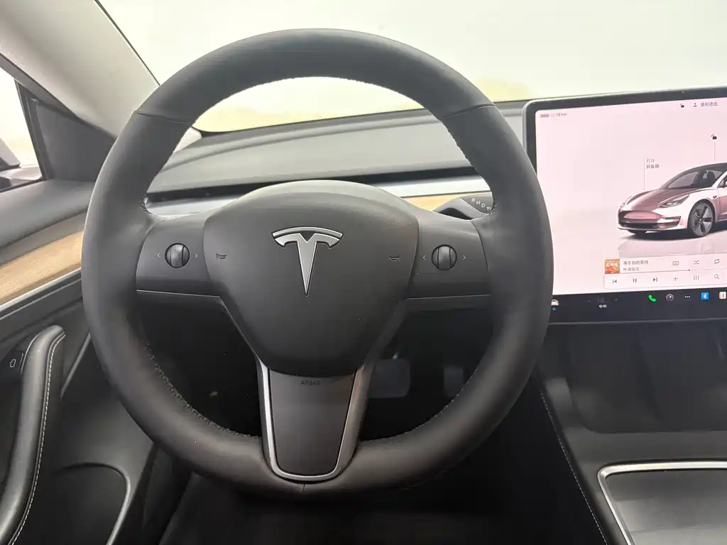 Tesla Model 3 — миниатюра 13