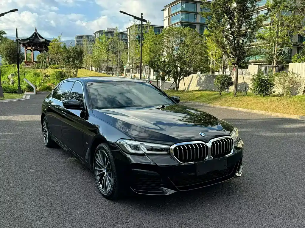BMW 5 Series — миниатюра 3
