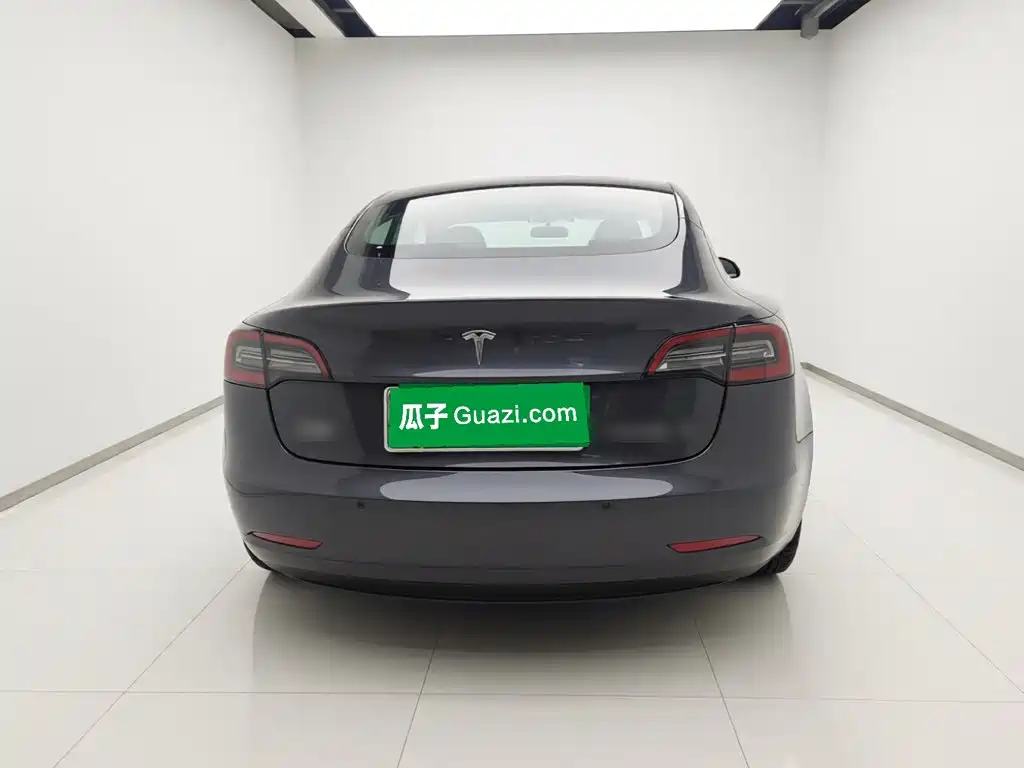 Tesla Model 3 — миниатюра 5
