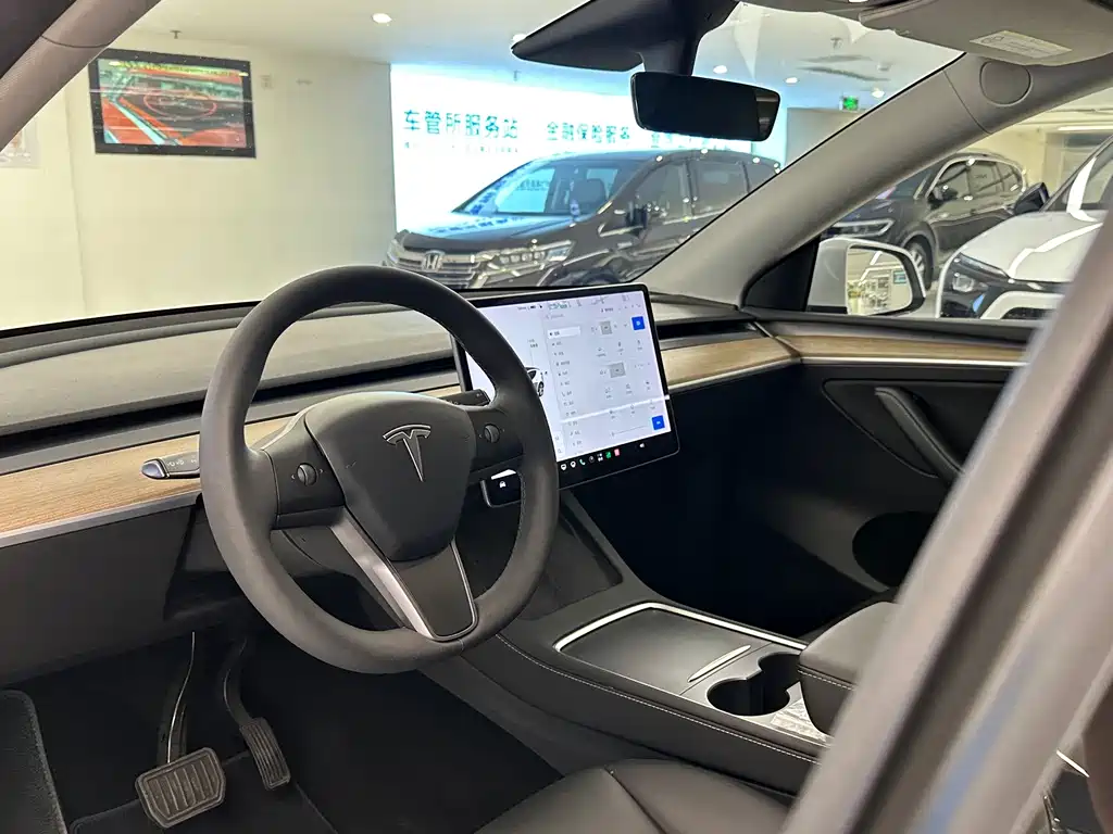 Tesla Model Y — миниатюра 10