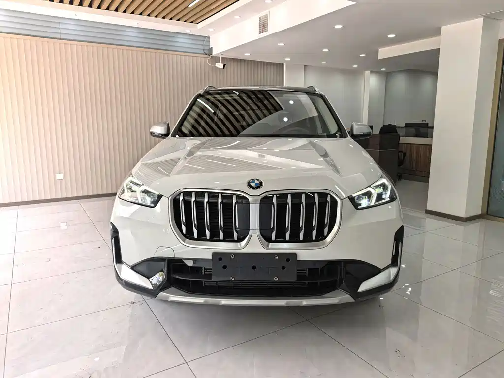 BMW X1 — миниатюра 2