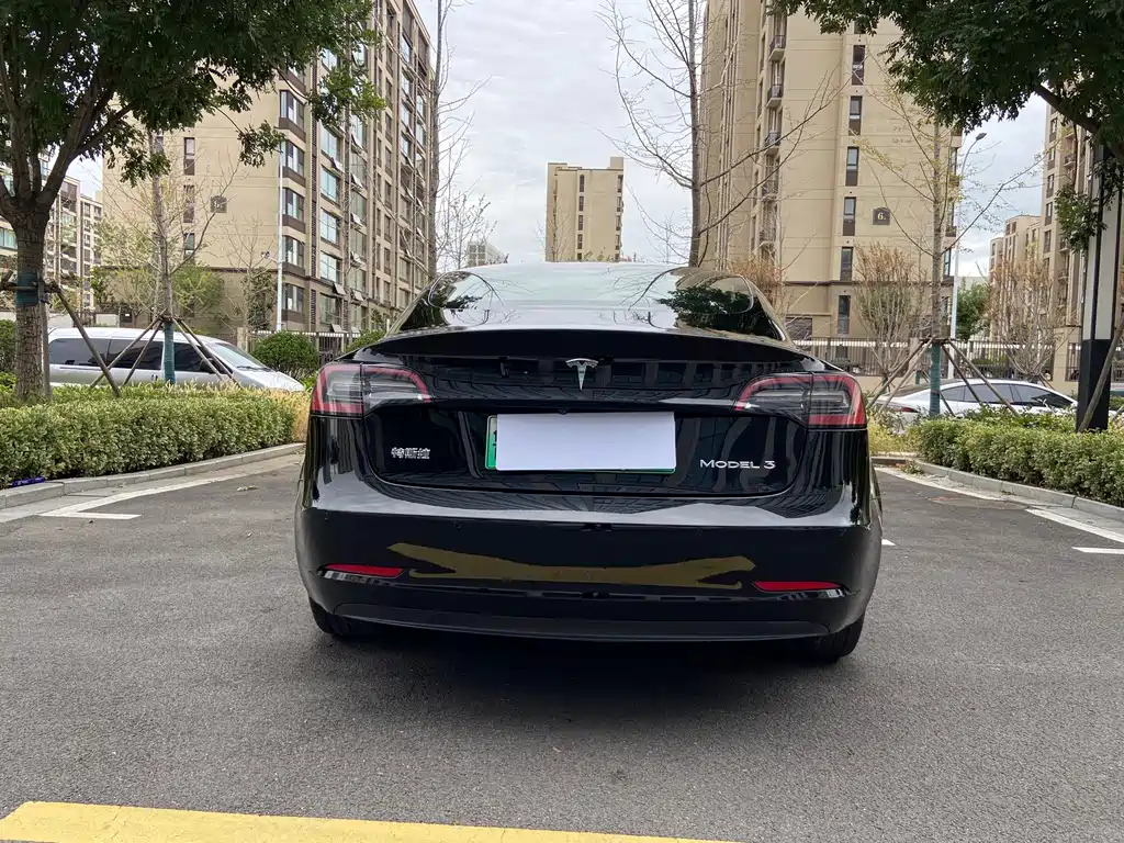 Tesla Model 3 — миниатюра 4