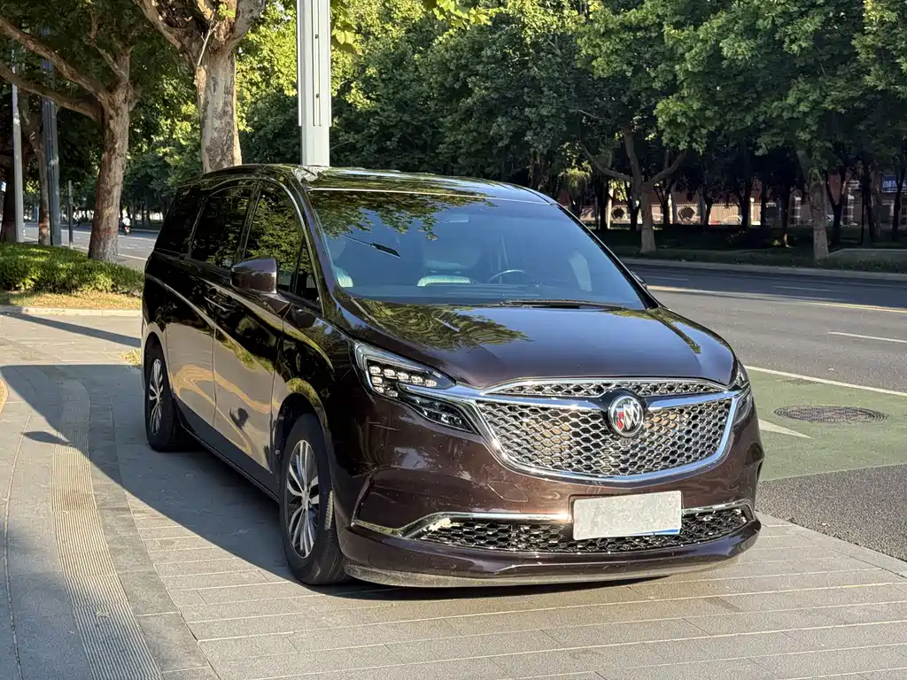 Buick GL8 — миниатюра 3